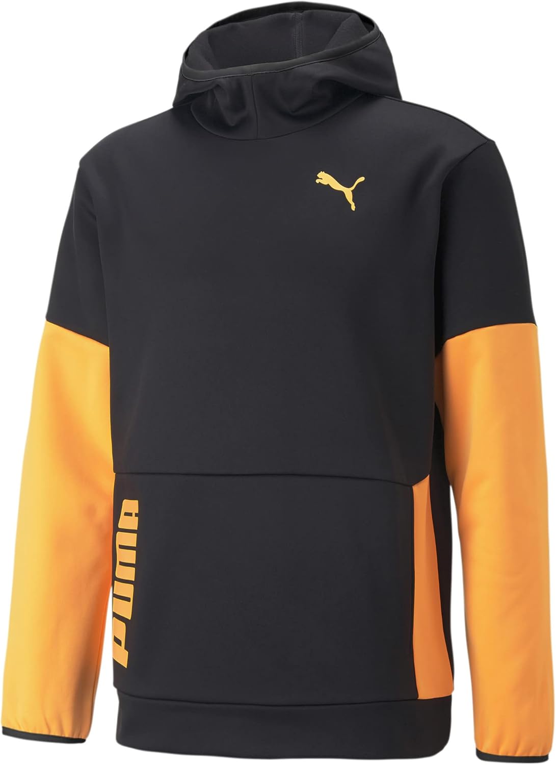 PUMA Men’s Train All Day Pwr Fleece Hoodie