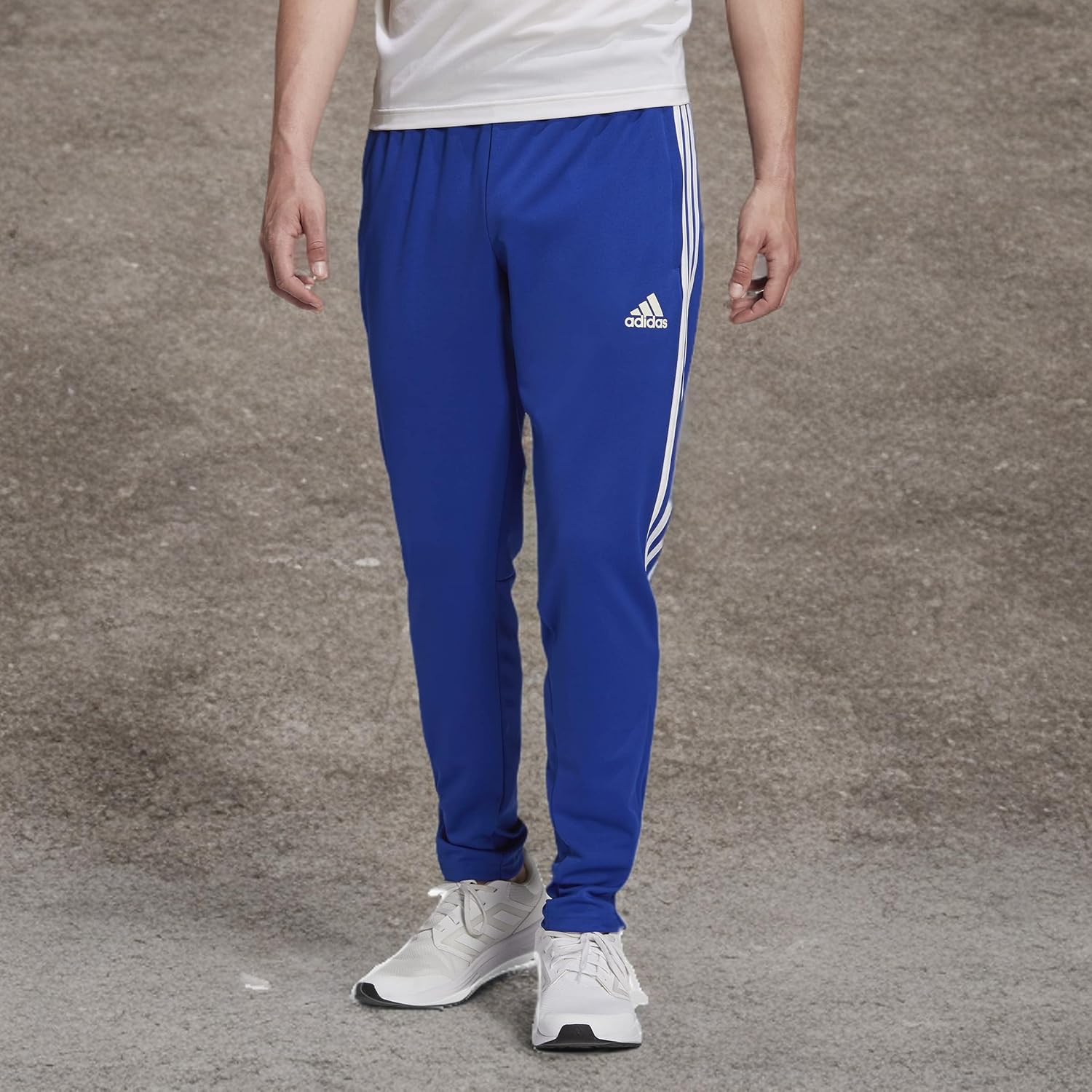 81X9bsIp3bL._AC_SL1500_.jpg