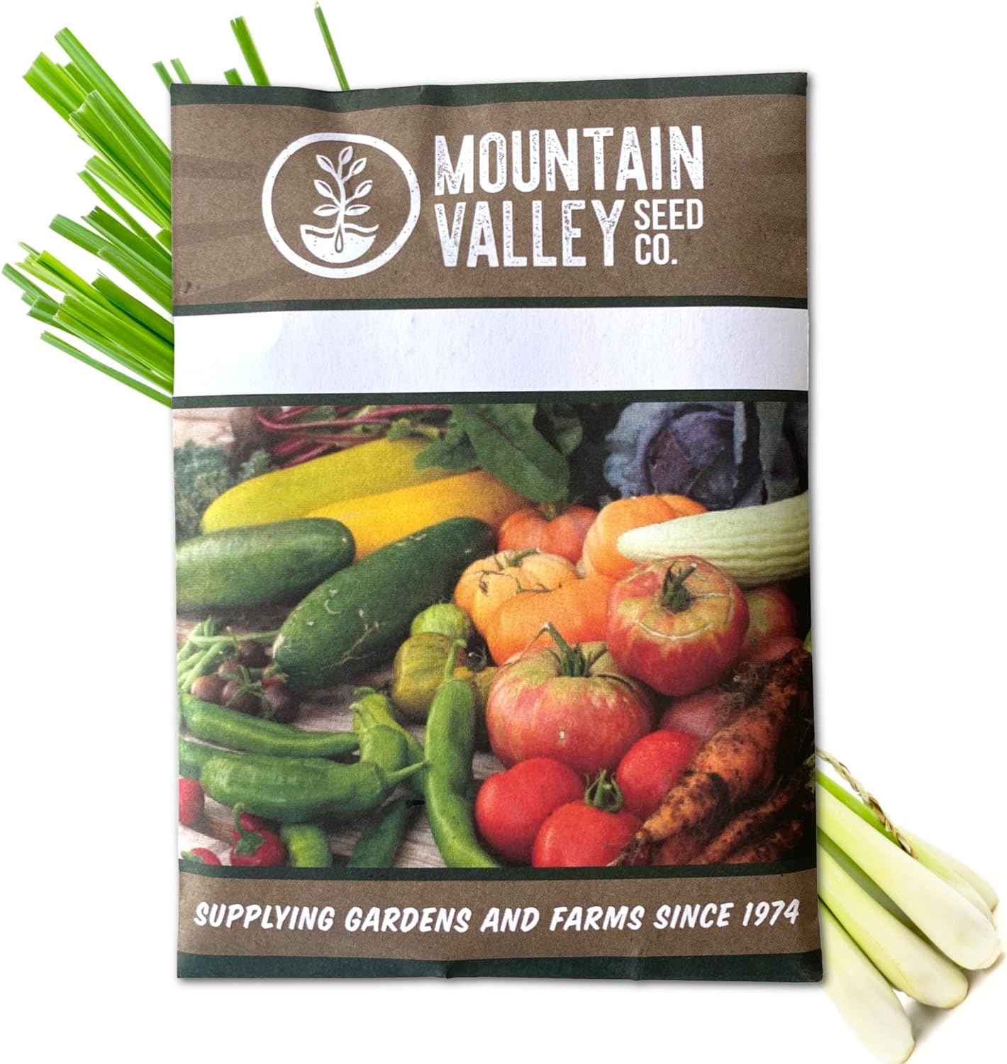 Lemon Grass Seeds for Planting Outdoor – 250 Mg Packet – Non-GMO, Heirloom Culinary Herb Garden Lemongrass Seeds – Cymbopogon citratus