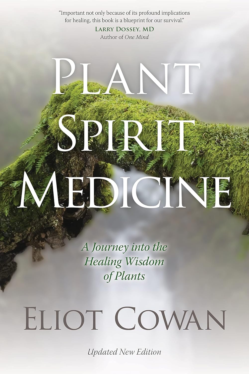 Plant Spirit Medicine